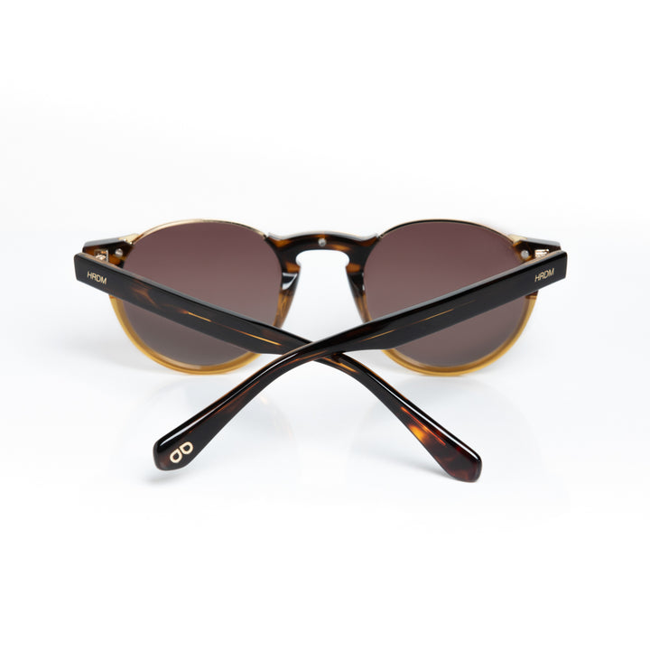 Gibraltar C3 - Wayfarer Polarized Sunglasses