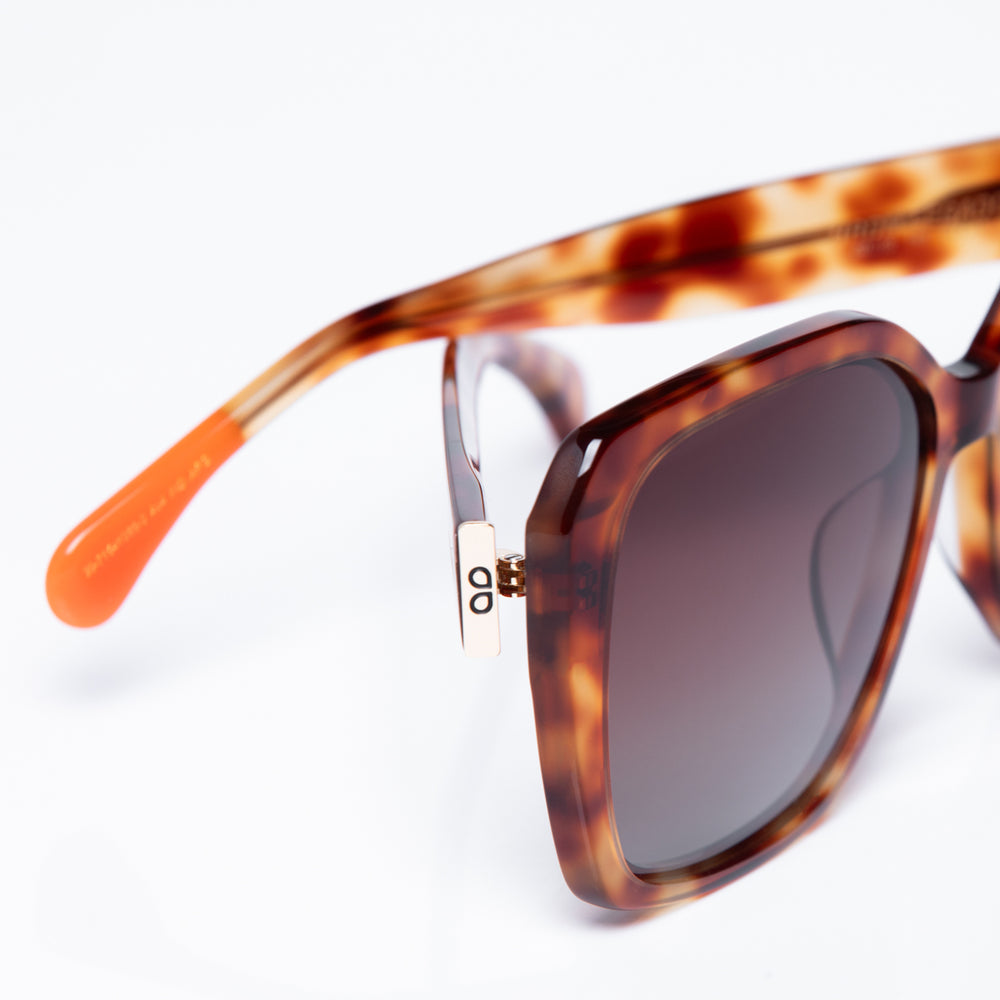 Sunglasses with tortoiseshell frame and dark lenses on a white background