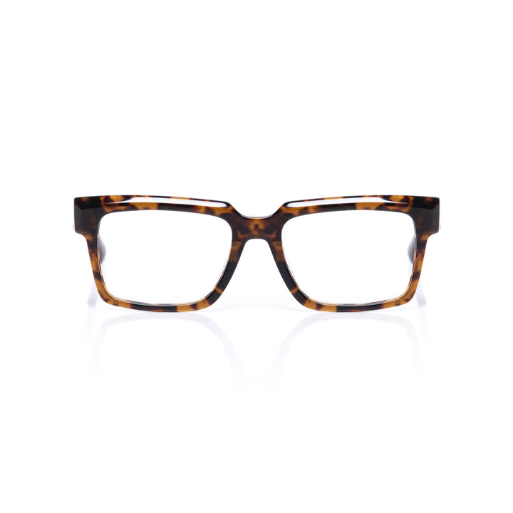 Tortoiseshell glasses on a white background