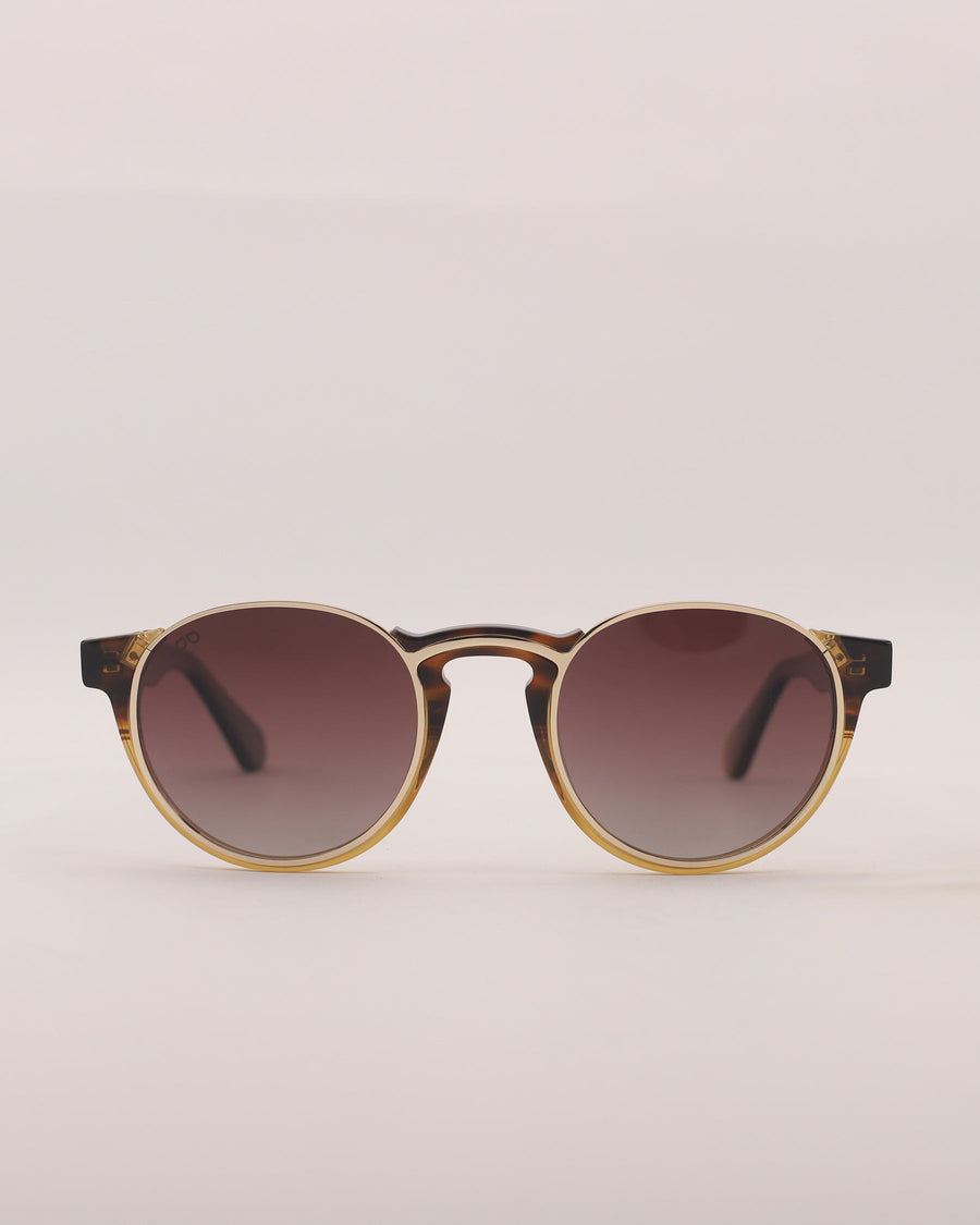 Hardem Gibraltar Sunglasses