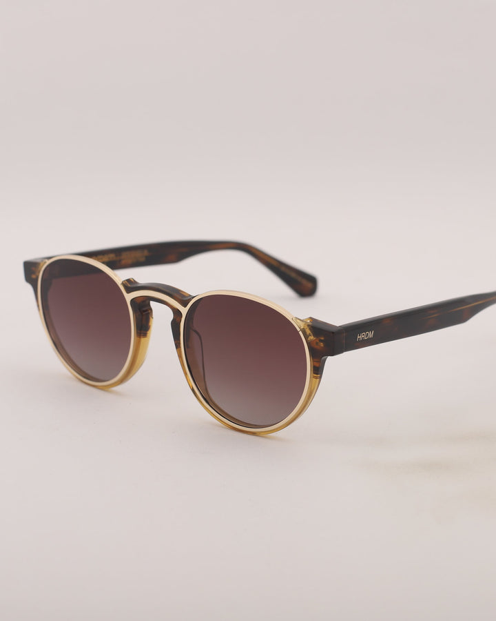 Hardem Gibraltar Sunglasses