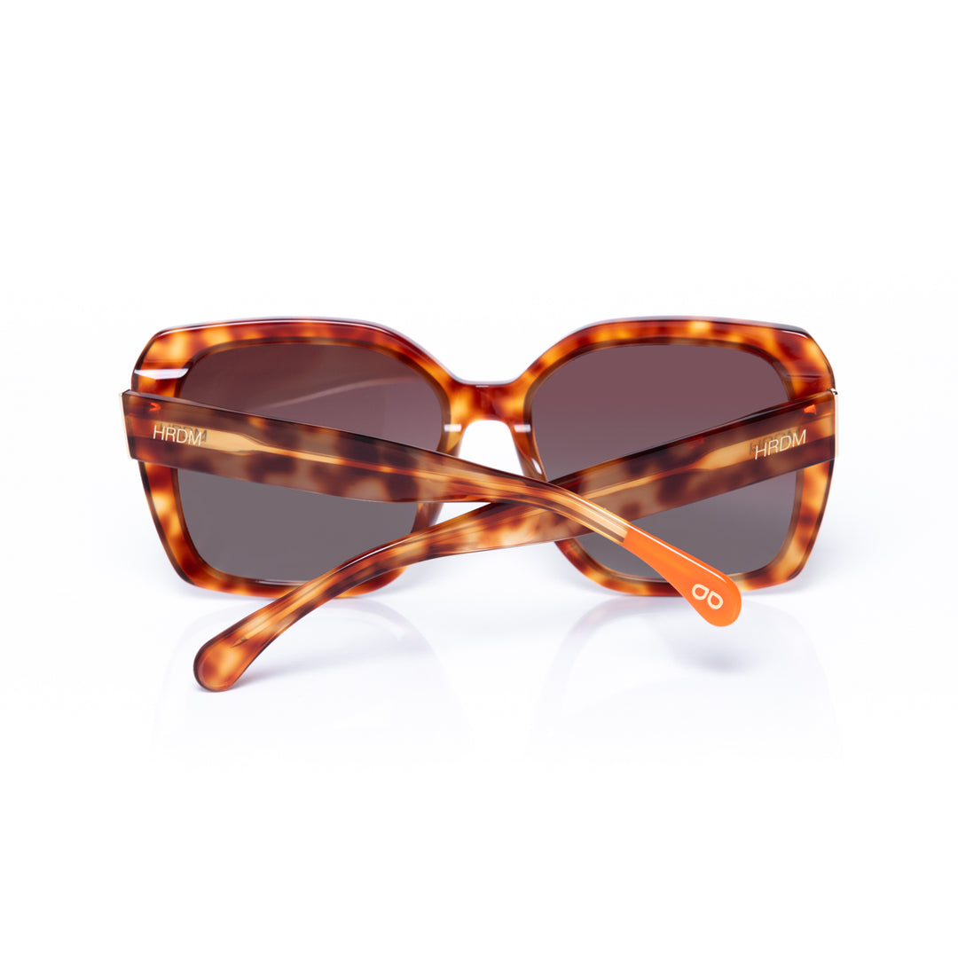 Tortoiseshell sunglasses with brown lenses on a white background