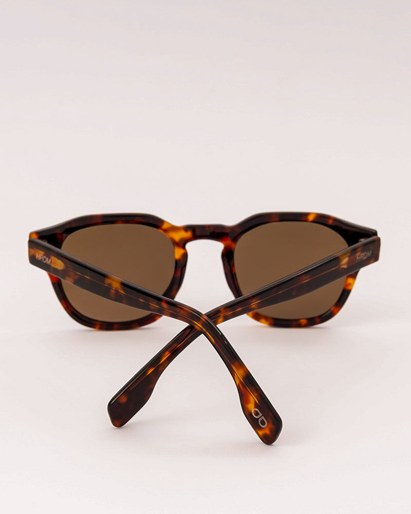 Hardem Napa Sunglasses