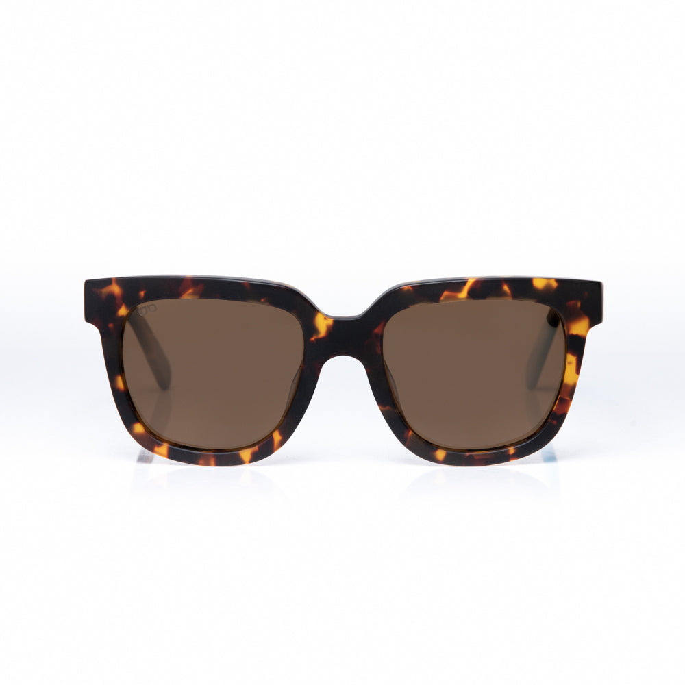 Positano C2 Signature Wayfarer Polarized Sunglasses – Hardem Eyewear Canada