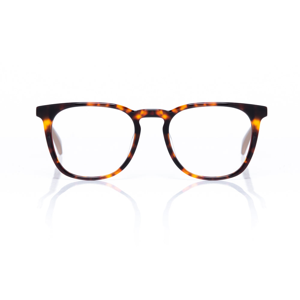 tortoise Eyewear frame
