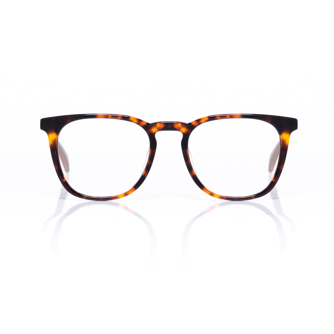 tortoise Eyewear frame
