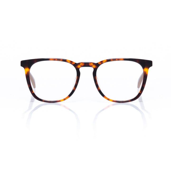 tortoise Eyewear frame