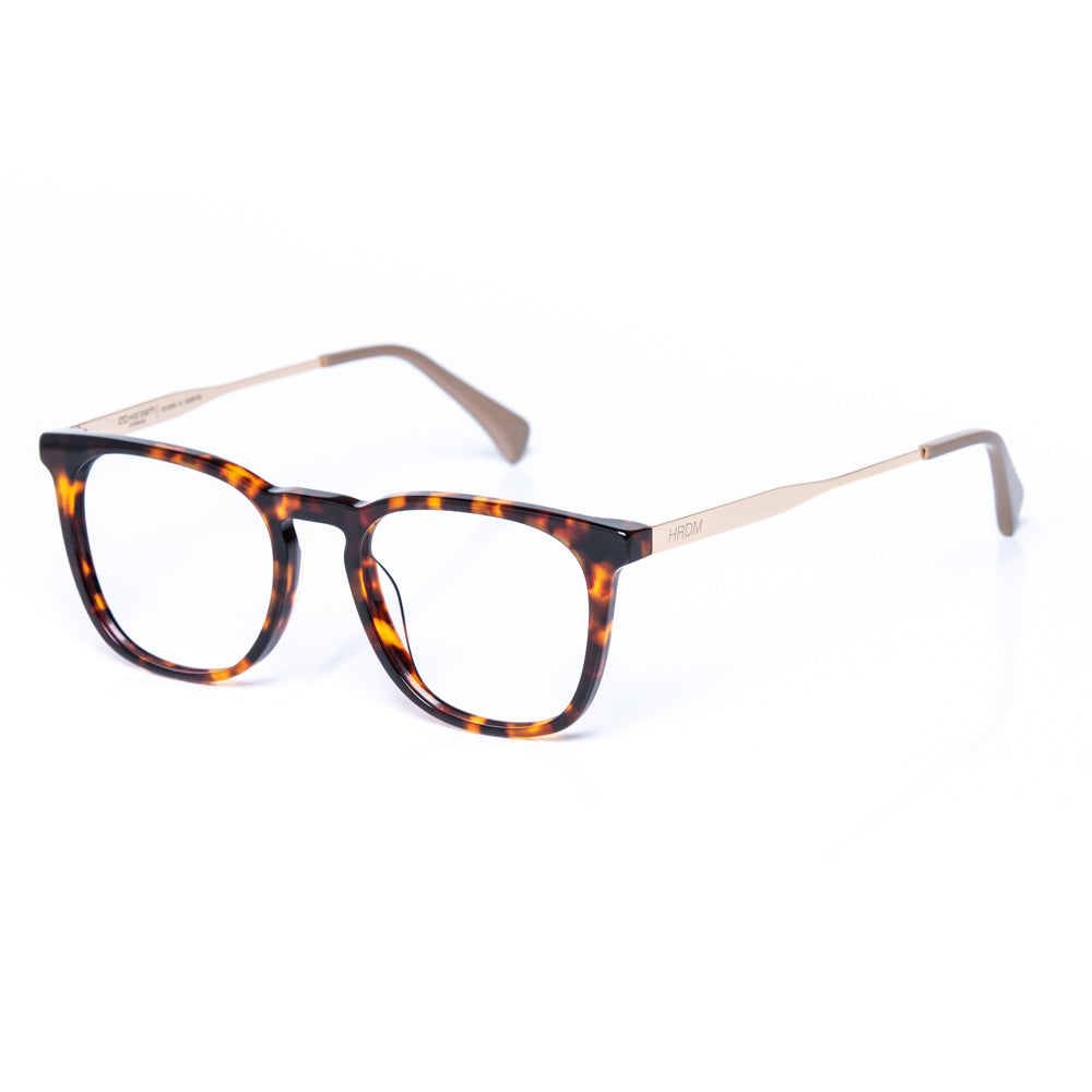 Tortoiseshell eyeglasses with gold accents on a white background