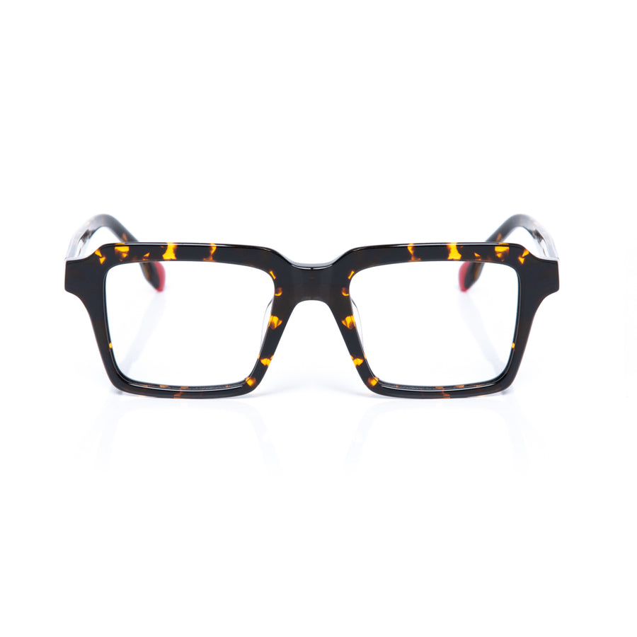 Tortoise eyewear frame